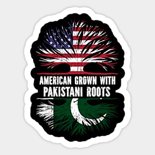 American Grown with Pakistani Roots USA Flag Sticker